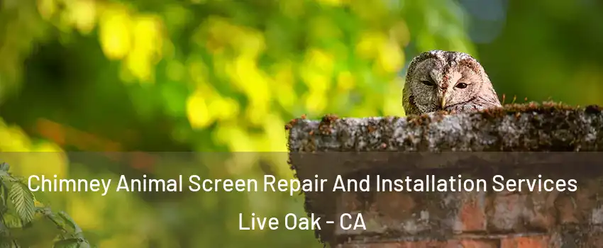 Chimney Animal Screen Repair And Installation Services Live Oak - CA