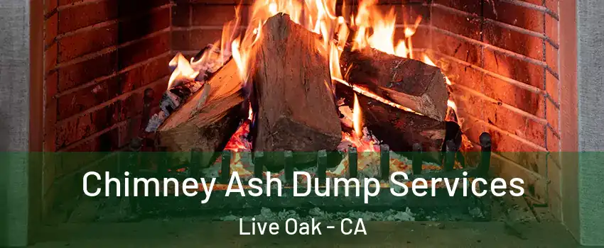  Chimney Ash Dump Services Live Oak - CA