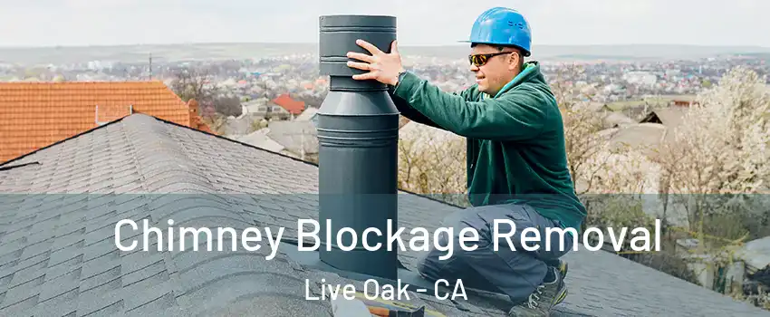 Chimney Blockage Removal Live Oak - CA
