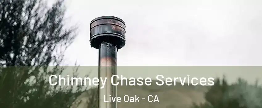 Chimney Chase Services Live Oak - CA