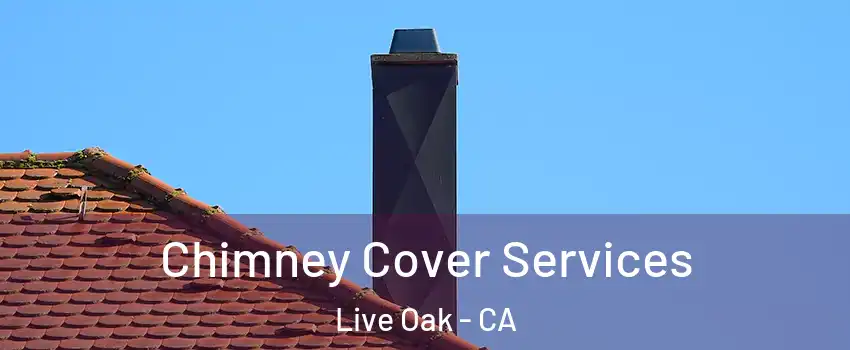 Chimney Cover Services Live Oak - CA