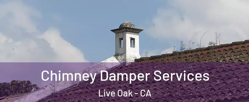  Chimney Damper Services Live Oak - CA