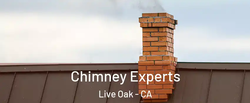  Chimney Experts Live Oak - CA