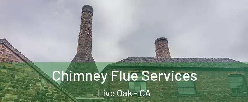  Chimney Flue Services Live Oak - CA
