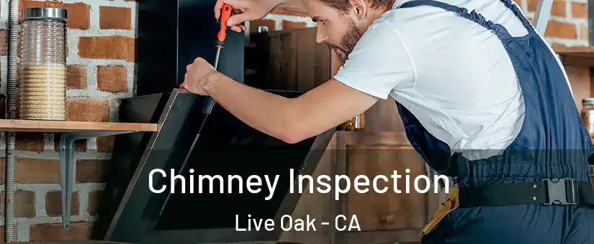  Chimney Inspection Live Oak - CA