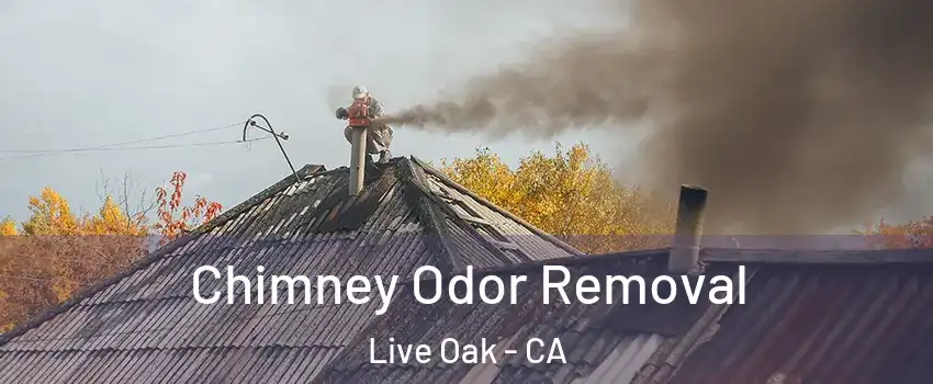  Chimney Odor Removal Live Oak - CA
