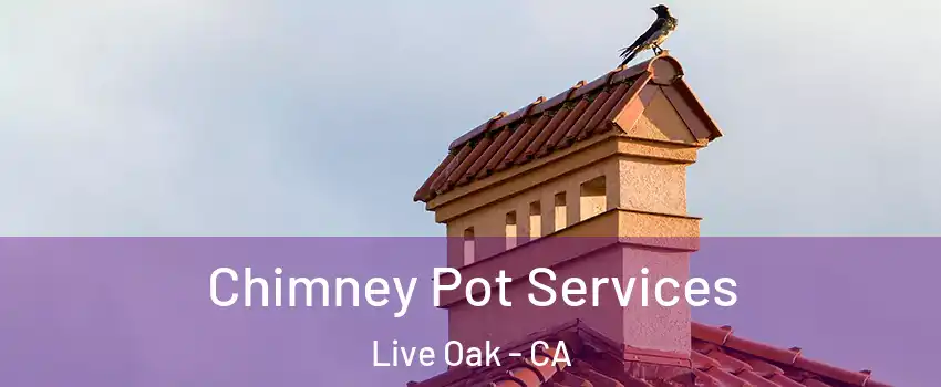  Chimney Pot Services Live Oak - CA