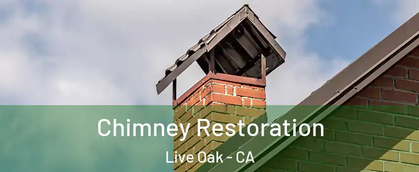  Chimney Restoration Live Oak - CA