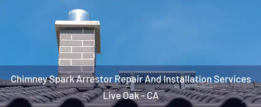  Chimney Spark Arrestor Repair And Installation Services Live Oak - CA