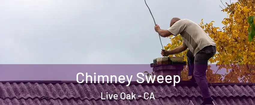  Chimney Sweep Live Oak - CA