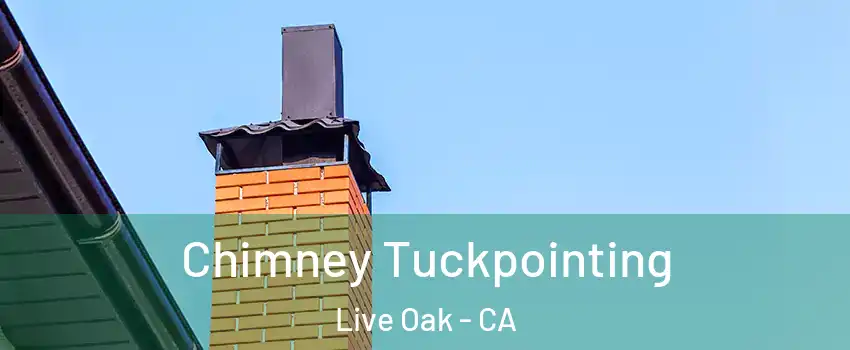  Chimney Tuckpointing Live Oak - CA