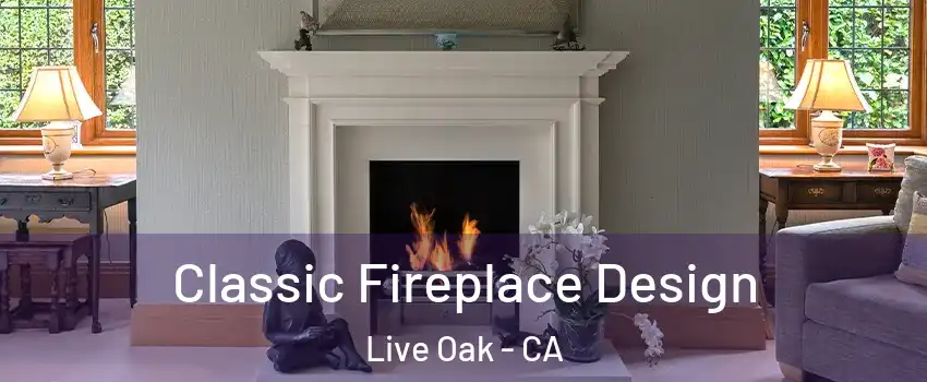 Classic Fireplace Design Live Oak - CA