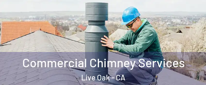 Commercial Chimney Services Live Oak - CA