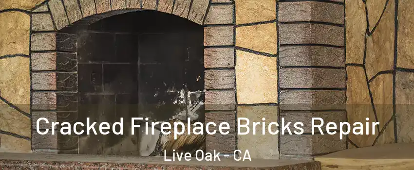 Cracked Fireplace Bricks Repair Live Oak - CA