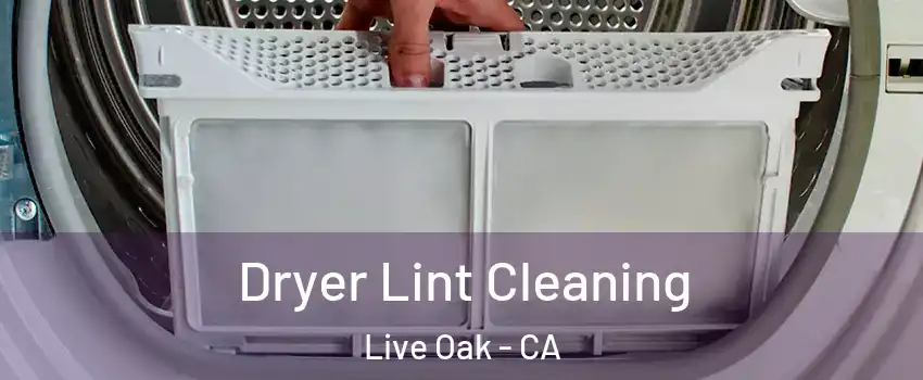 Dryer Lint Cleaning Live Oak - CA