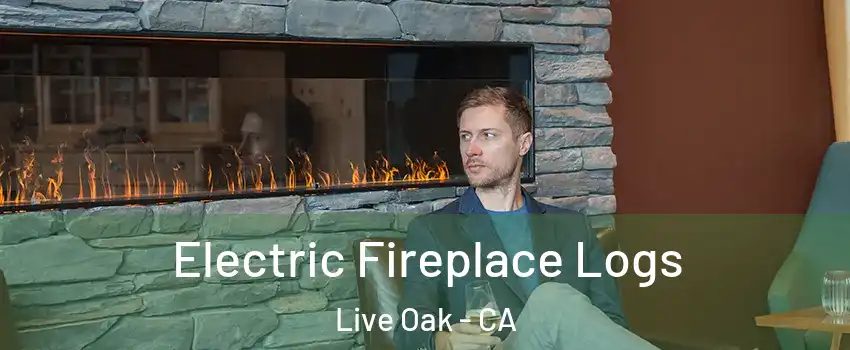  Electric Fireplace Logs Live Oak - CA