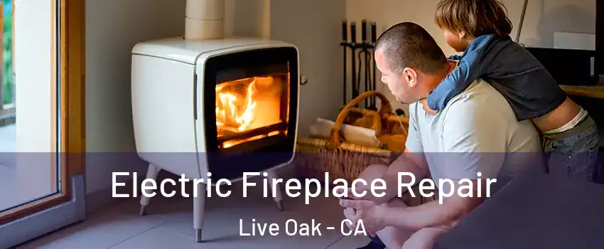  Electric Fireplace Repair Live Oak - CA