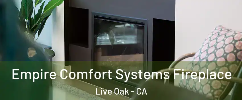  Empire Comfort Systems Fireplace Live Oak - CA