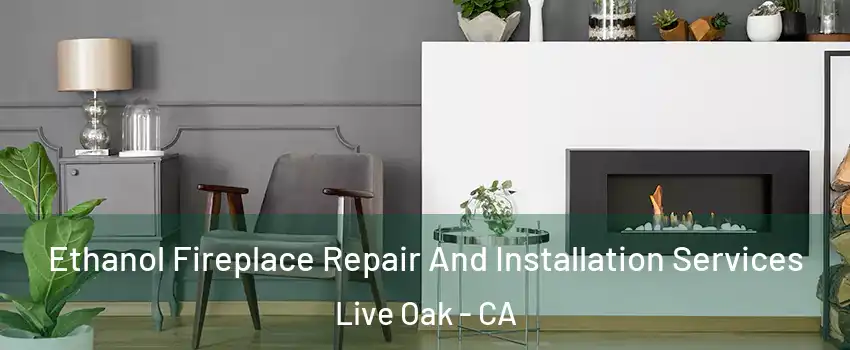  Ethanol Fireplace Repair And Installation Services Live Oak - CA