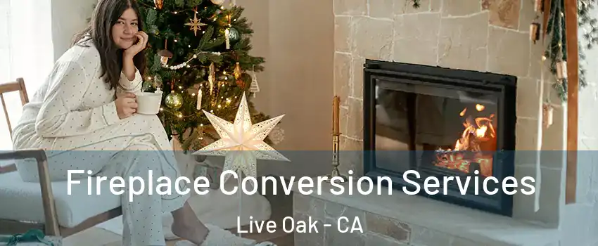  Fireplace Conversion Services Live Oak - CA