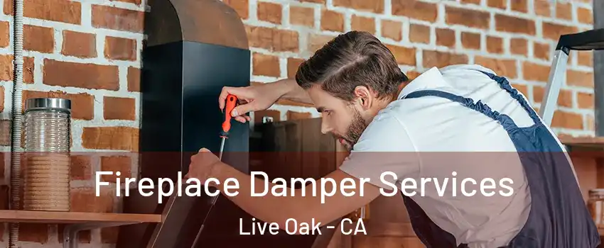 Fireplace Damper Services Live Oak - CA