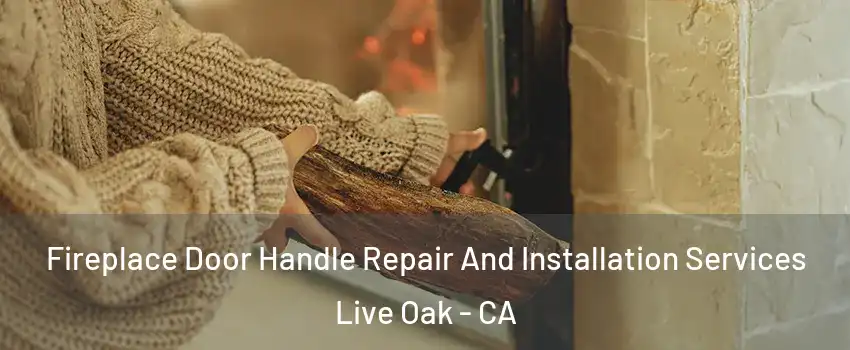  Fireplace Door Handle Repair And Installation Services Live Oak - CA