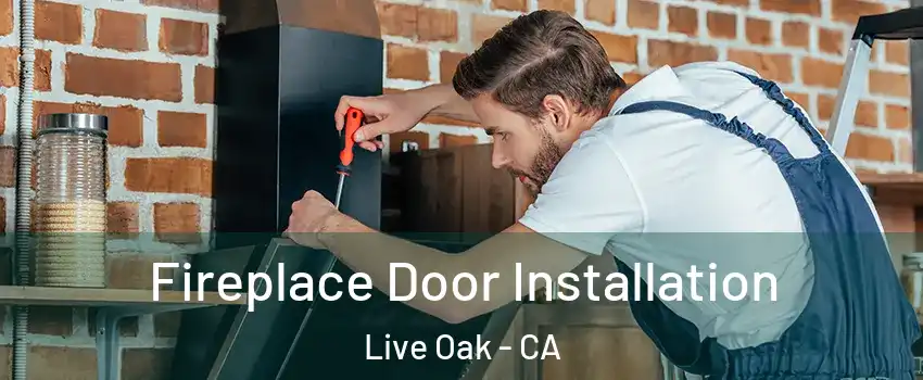  Fireplace Door Installation Live Oak - CA