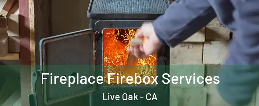 Fireplace Firebox Services Live Oak - CA