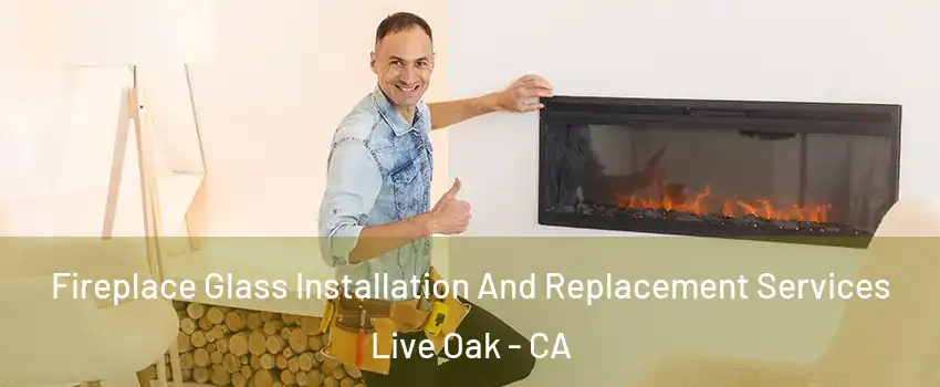 Fireplace Glass Installation And Replacement Services Live Oak - CA