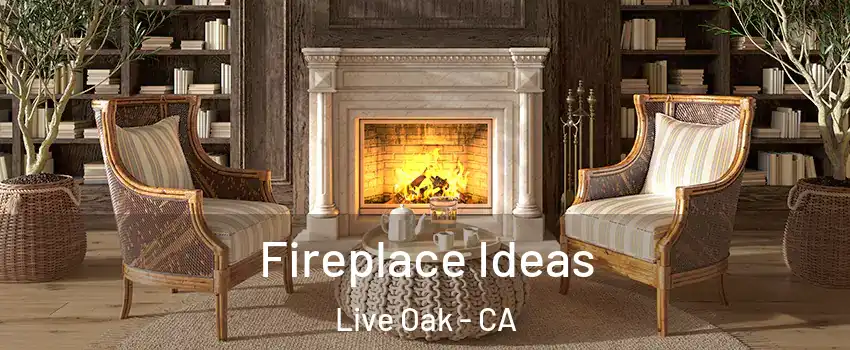 Fireplace Ideas Live Oak - CA