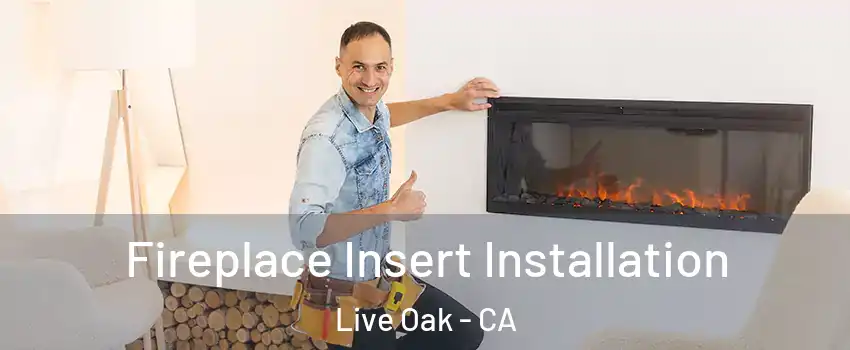  Fireplace Insert Installation Live Oak - CA