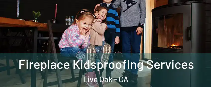  Fireplace Kidsproofing Services Live Oak - CA