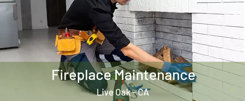  Fireplace Maintenance Live Oak - CA