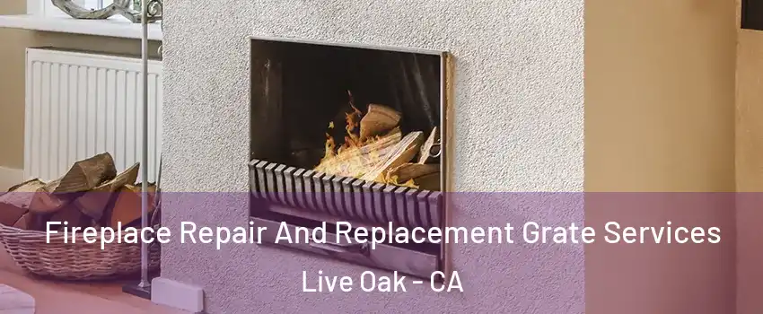  Fireplace Repair And Replacement Grate Services Live Oak - CA