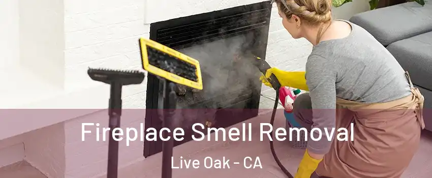  Fireplace Smell Removal Live Oak - CA