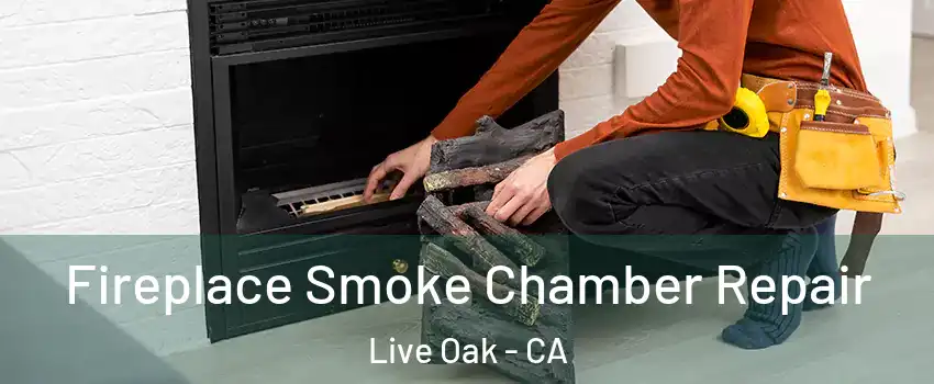 Fireplace Smoke Chamber Repair Live Oak - CA