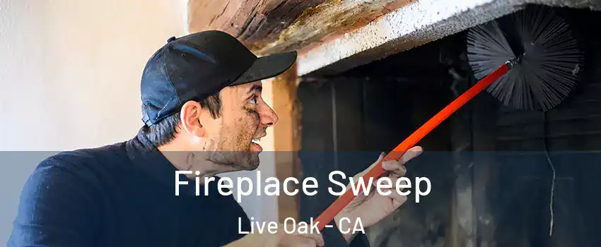  Fireplace Sweep Live Oak - CA