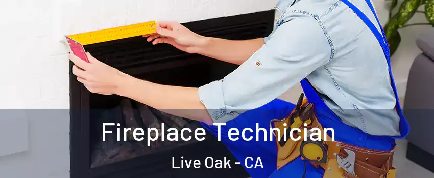  Fireplace Technician Live Oak - CA