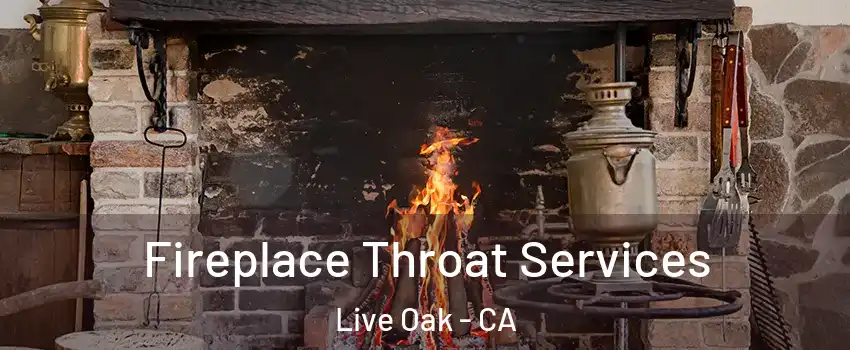  Fireplace Throat Services Live Oak - CA