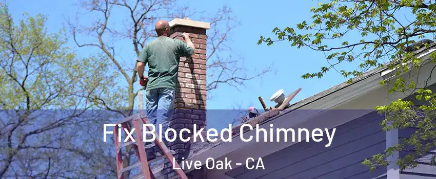  Fix Blocked Chimney Live Oak - CA