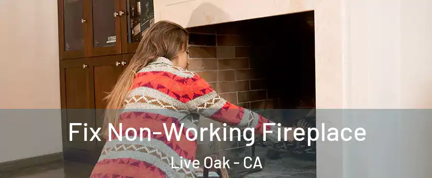  Fix Non-Working Fireplace Live Oak - CA
