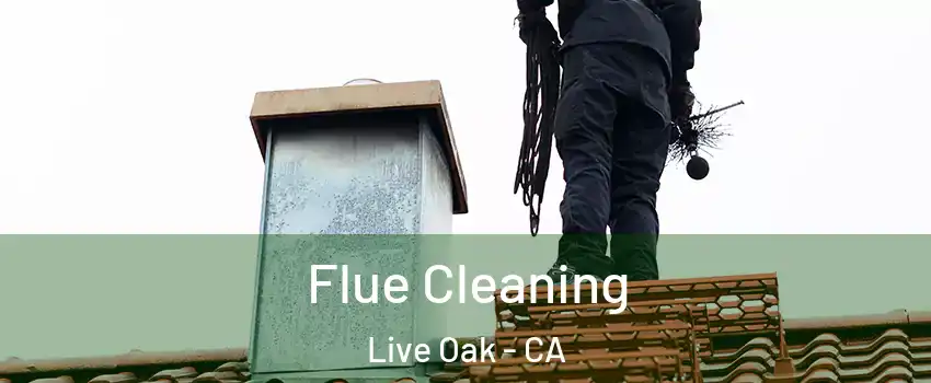  Flue Cleaning Live Oak - CA