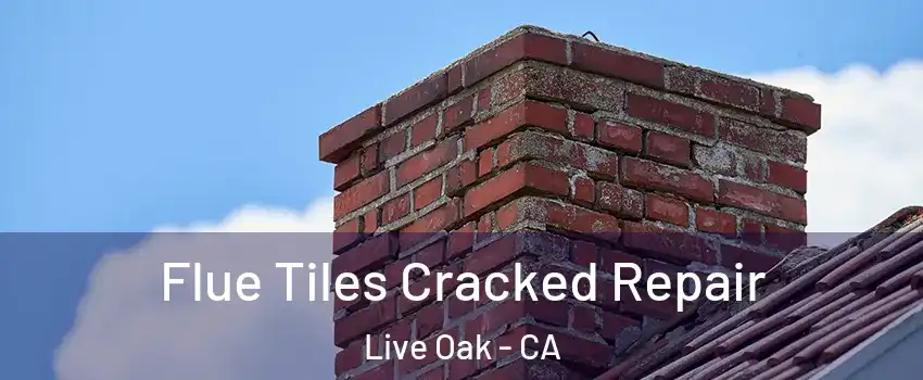Flue Tiles Cracked Repair Live Oak - CA