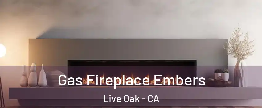  Gas Fireplace Embers Live Oak - CA