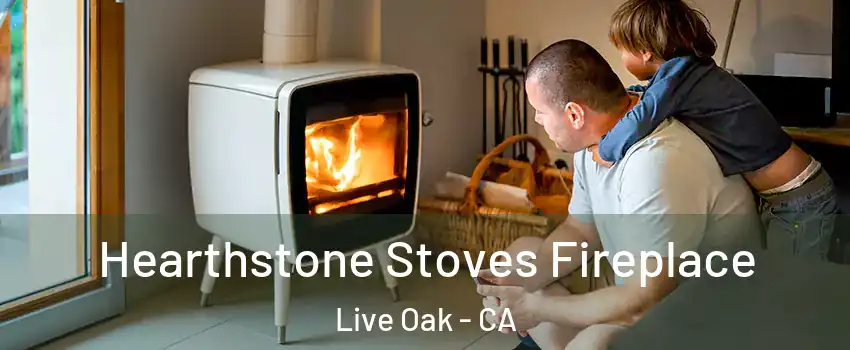  Hearthstone Stoves Fireplace Live Oak - CA