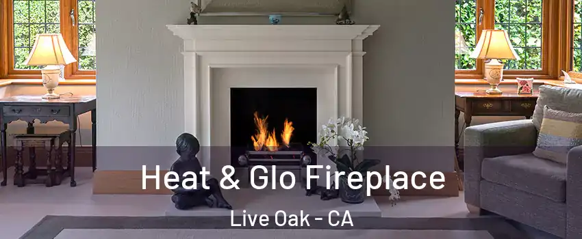  Heat & Glo Fireplace Live Oak - CA