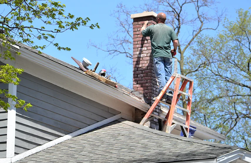 Chimney & Fireplace Inspections Services in Live Oak, CA