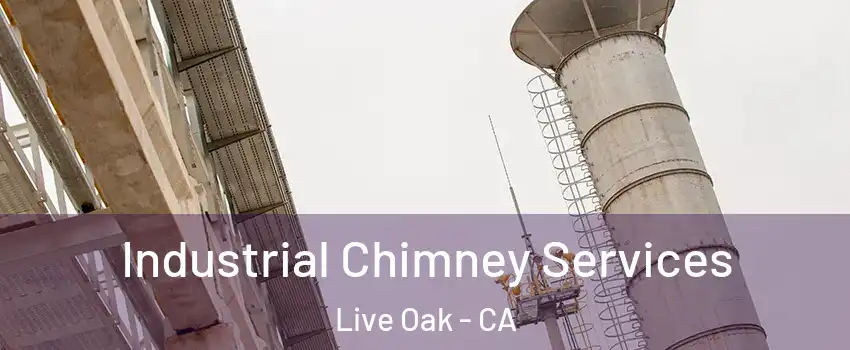 Industrial Chimney Services Live Oak - CA