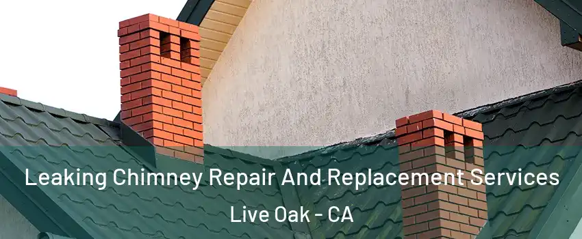  Leaking Chimney Repair And Replacement Services Live Oak - CA