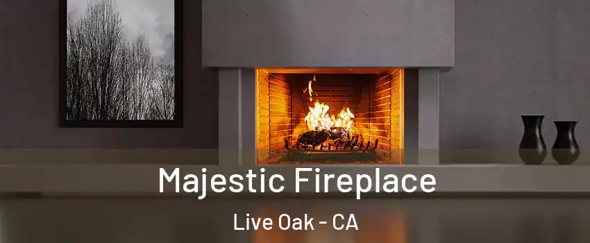  Majestic Fireplace Live Oak - CA
